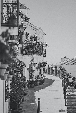 pexels-piers-olphin-13289360