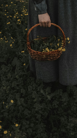 pexels-lostintespace-19182620