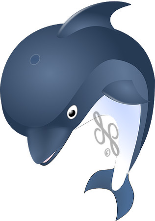 dolphin