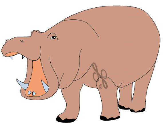 hippopotamus