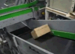 giphy_2-3