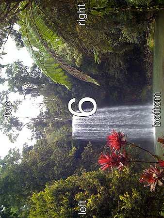 Landscape_6