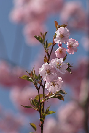 metadata_included_photo