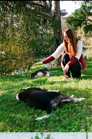 pexels-mihmanduganli-19151362
