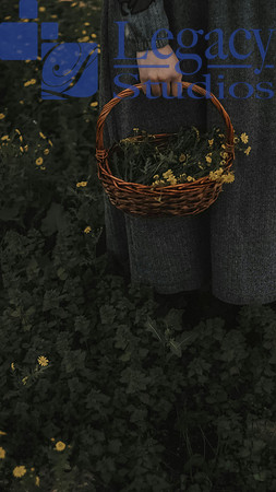 pexels-lostintespace-19182620