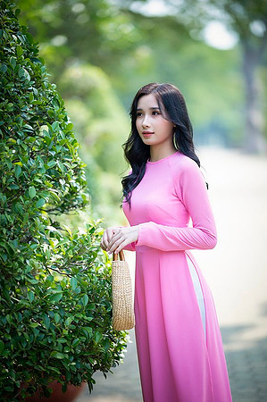 ao-dai-6186422_960_720
