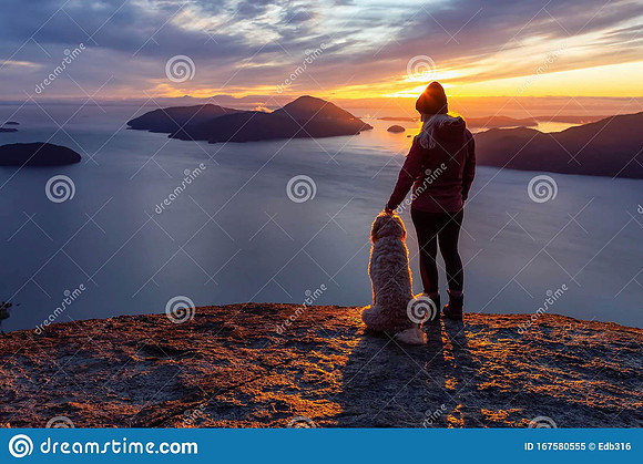 adventurous-girl-hiking-top-mountain-dog-adventurous-girl-hiking-top-mountain-dog-colorful-167580555