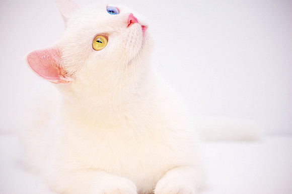 test-17032025-164447