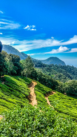 pexels-krish-chaitu-731423