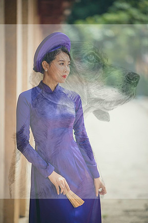 ao-dai-6138561_960_720