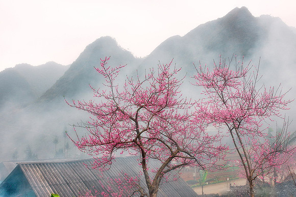 kinh-nghiem-du-lich-ha-giang-day-du-tu-a-den-z-amazingthingsinvietnam36
