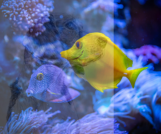 pexels-egor-kamelev-3220368