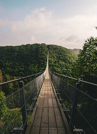 pexels-sven-huls-3801347