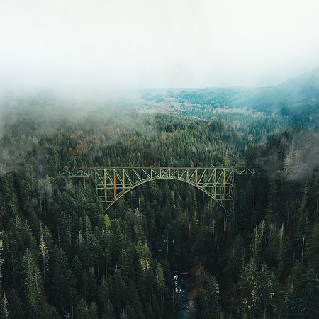 pexels-aleksey-kuprikov-3493777