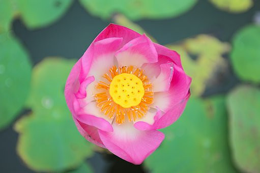 lake-4761984__340