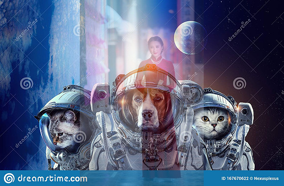 astronaut-pets-wearing-space-suit-elements-image-furnished-nasa-first-trip-to-space-mixed-media-167670622