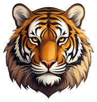 tiger (2)