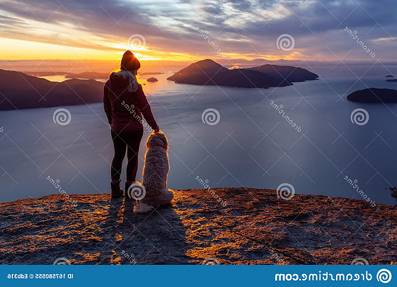adventurous-girl-hiking-top-mountain-dog-adventurous-girl-hiking-top-mountain-dog-colorful-167580555