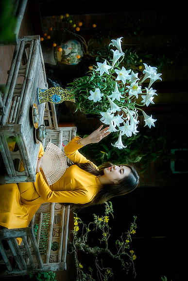 ao-dai-6147436_960_720