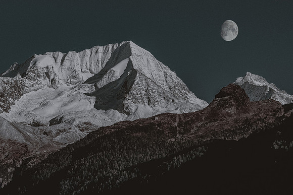 pexels-laurachouette-21308531