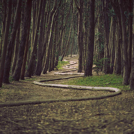© tuanpro Photography 1