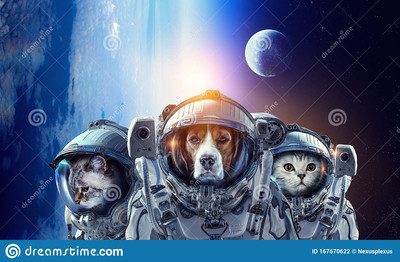 astronaut-pets-wearing-space-suit-elements-image-furnished-nasa-first-trip-to-space-mixed-media-167670622
