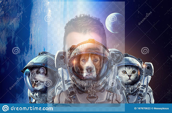 astronaut-pets-wearing-space-suit-elements-image-furnished-nasa-first-trip-to-space-mixed-media-167670622