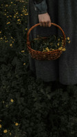 pexels-lostintespace-19182620